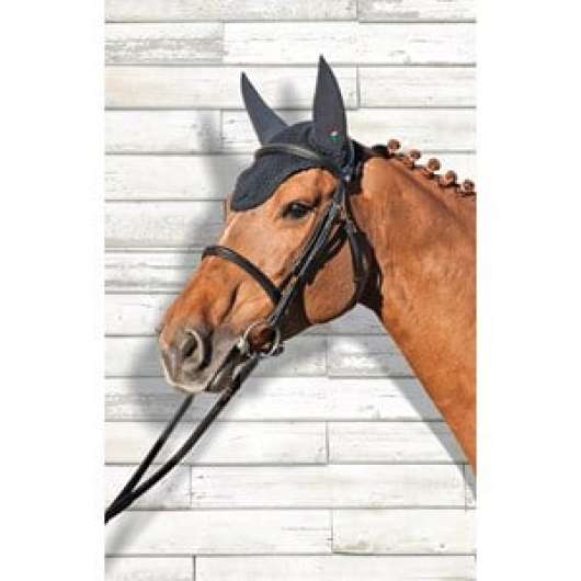 Flughuva Equiline Soundless, Svart