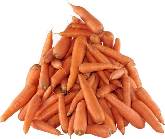 Foderråvara Färska morötter 18kg