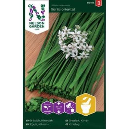 Fröer Nelson Garden Gräslök Kinesisk Garlic Oriental