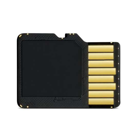 Garmin Garmin 8 GB microSD™ Class 4 Card with SD Adapter