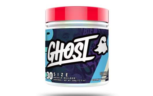 Ghost Lifestyle Ghost Size, 348 g, Kreatin