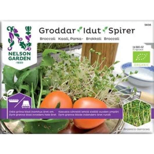 Groddar Nelson Garden Broccoli Organic