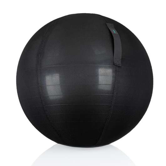 Gymstick Active Sitting Ball