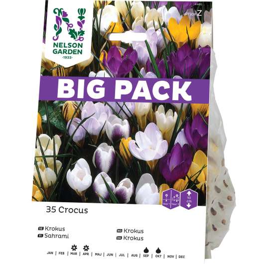 Höstlök Nelson Garden Botanisk Krokus Blandade färger BigPack