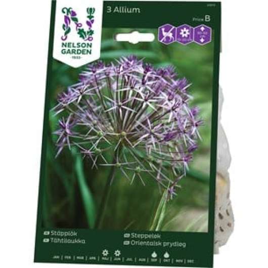 Höstlök Nelson Garden Stäpplök Rödviolett