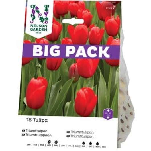 Höstlök Nelson Garden Triumftulpan Röd Big Pack