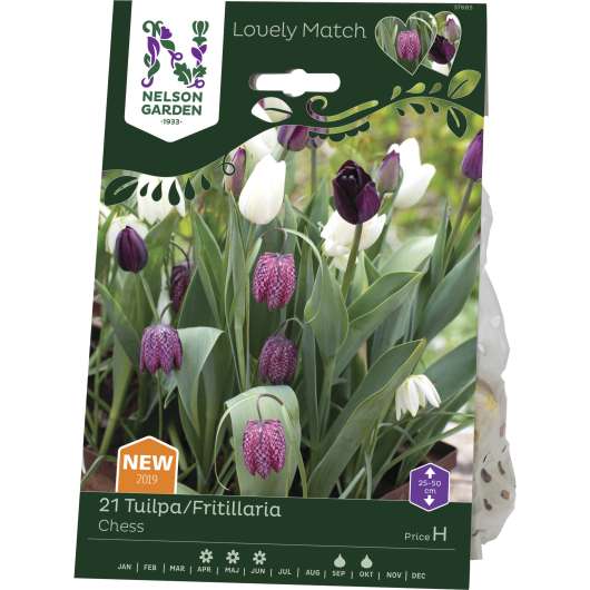 Höstlök Nelson Garden Tulpan/Fritillaria Lovely Match Chess Mix