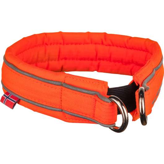 Hundhalsband Non-Stop Dogwear Säkerhet Orange