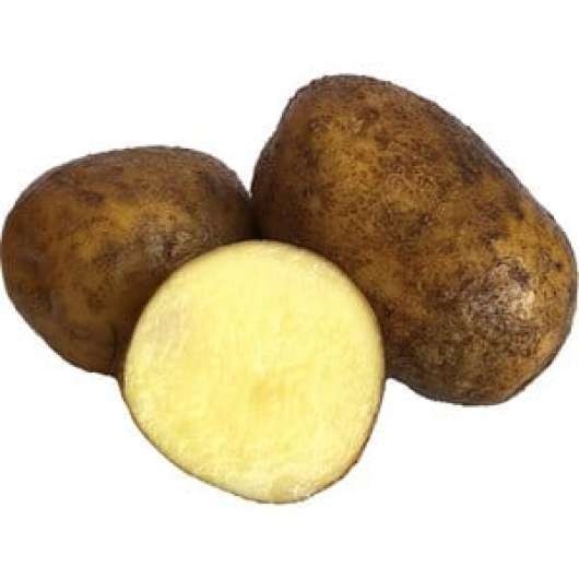Sättpotatis Granngården Arsenal Sommar, 3 kg