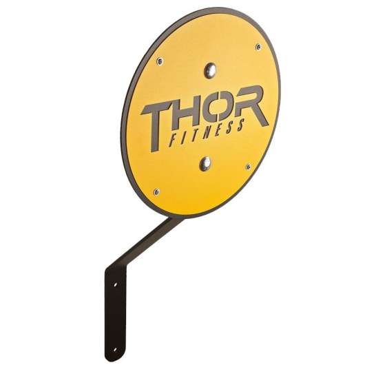 Thor Fitness Rigg Wallball Target