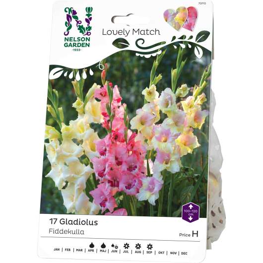 Vårlök Nelson Garden Gladiolus Lovely Match Fiddekulla Mix